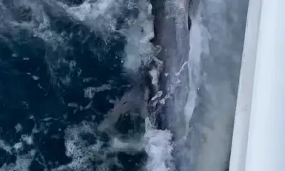 Morehead City Report Video 0