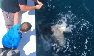 Panama City Report Video 1