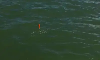 Port O'Connor Verslag Video 1