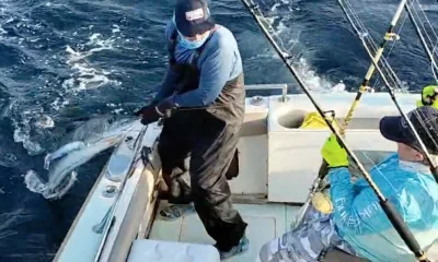 Cabo San Lucas Report Video 1
