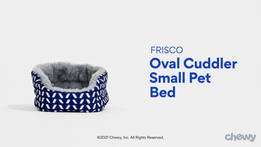 Play Video: Learn More About Frisco From Our Team of Experts