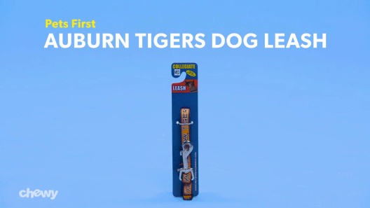 Play Video: Learn More About Pets First From Our Team of Experts