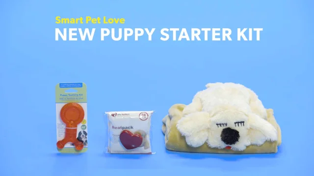what comes in a puppy starter kit