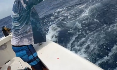 best trip ever 