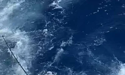 Jupiter Report Video 1