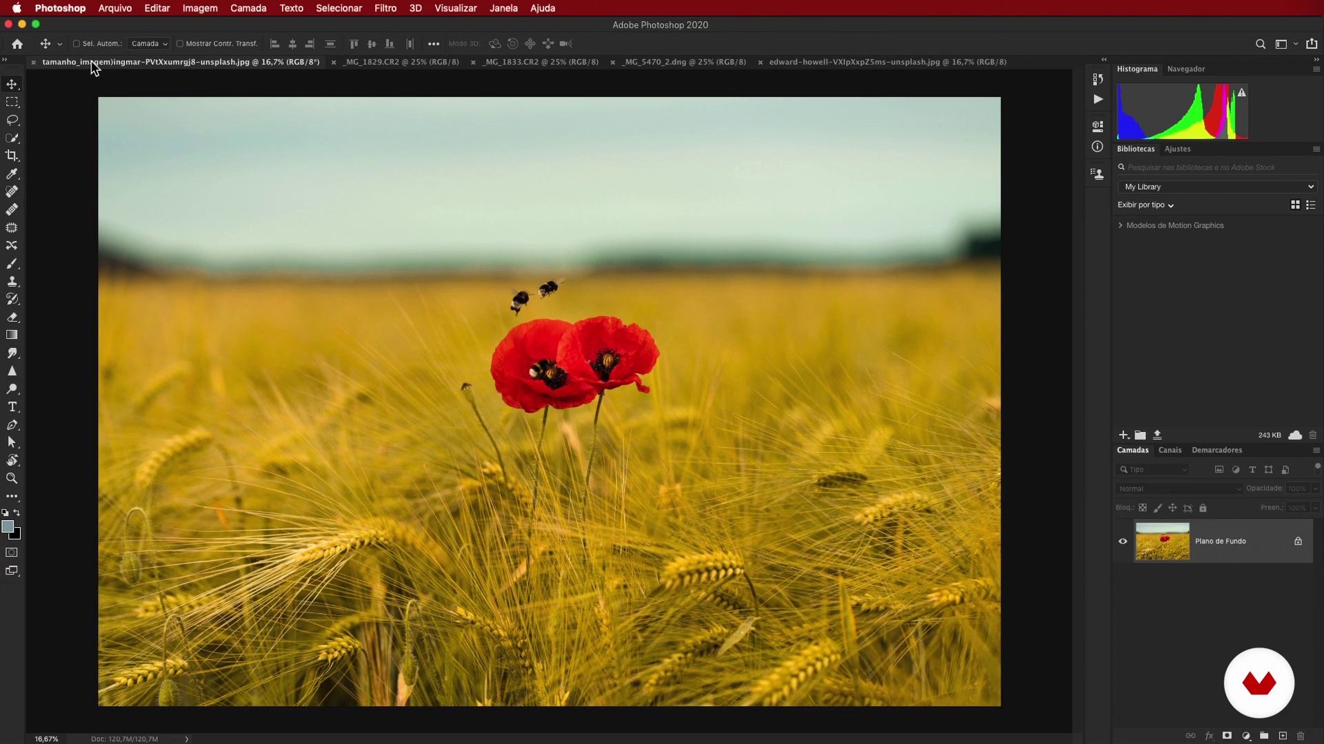 adobe photoshop 8.0 free download for windows 7