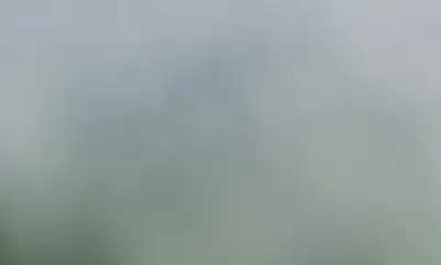 Carolina Report Video 4