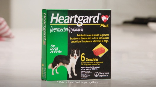 Heartgard Plus Chew For Dogs, 26-50 Lbs, (Green Box), 6 Chews (6-Mos.  Supply) - Chewy.Com