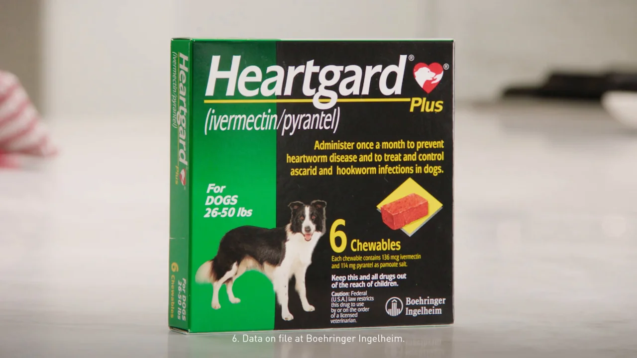 how much does heartgard cost for dogs