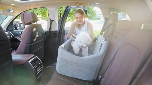 WOOAIDAGG Memory Foam Washable Dog Car Seat