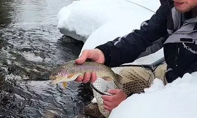 Berthoud Report Video 0