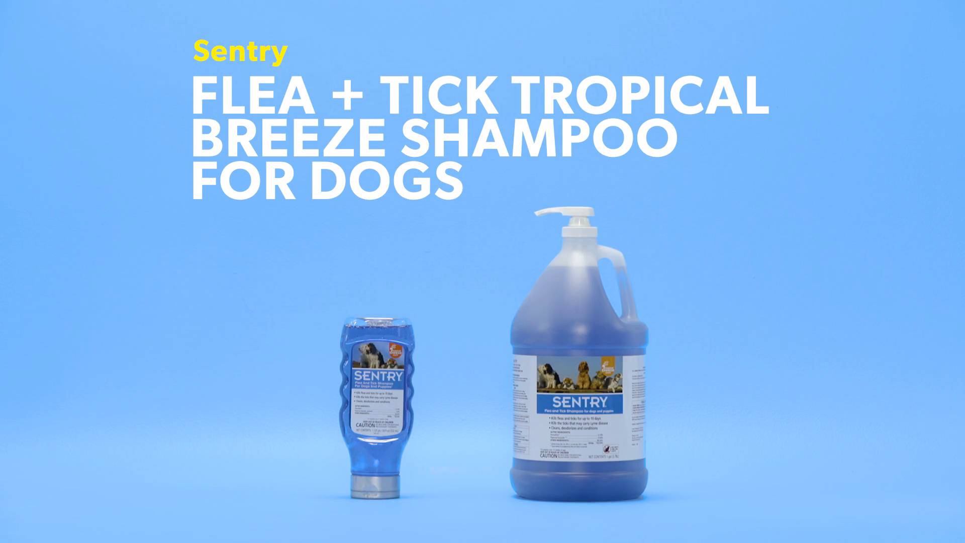 Sentry flea and outlet tick shampoo