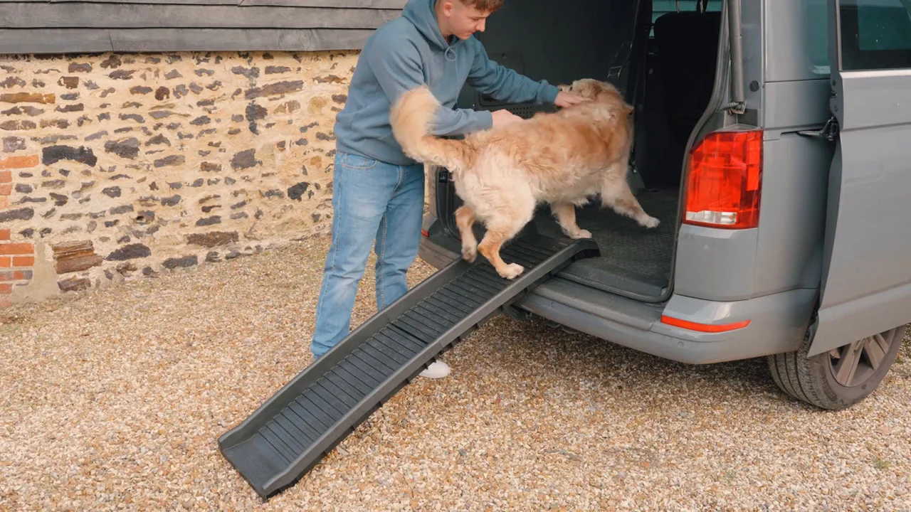 Folding store dog ramp