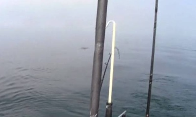 Port Credit Report Video 2
