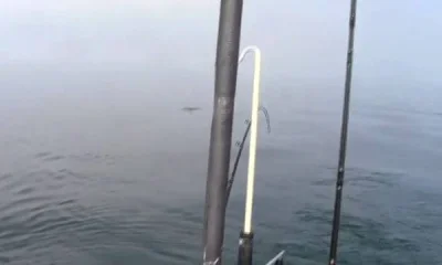 Toronto Report Video 0