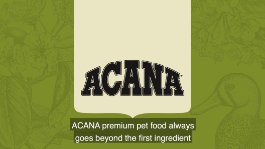 Play Video: Learn More About ACANA From Our Team of Experts