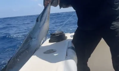 Cancún Report Video 2