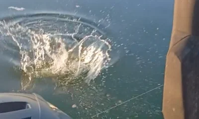 San Antonio Report Video 0