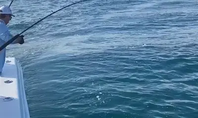 Herradura Report Video 0
