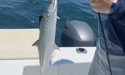 Tamarindo Video Report 1
