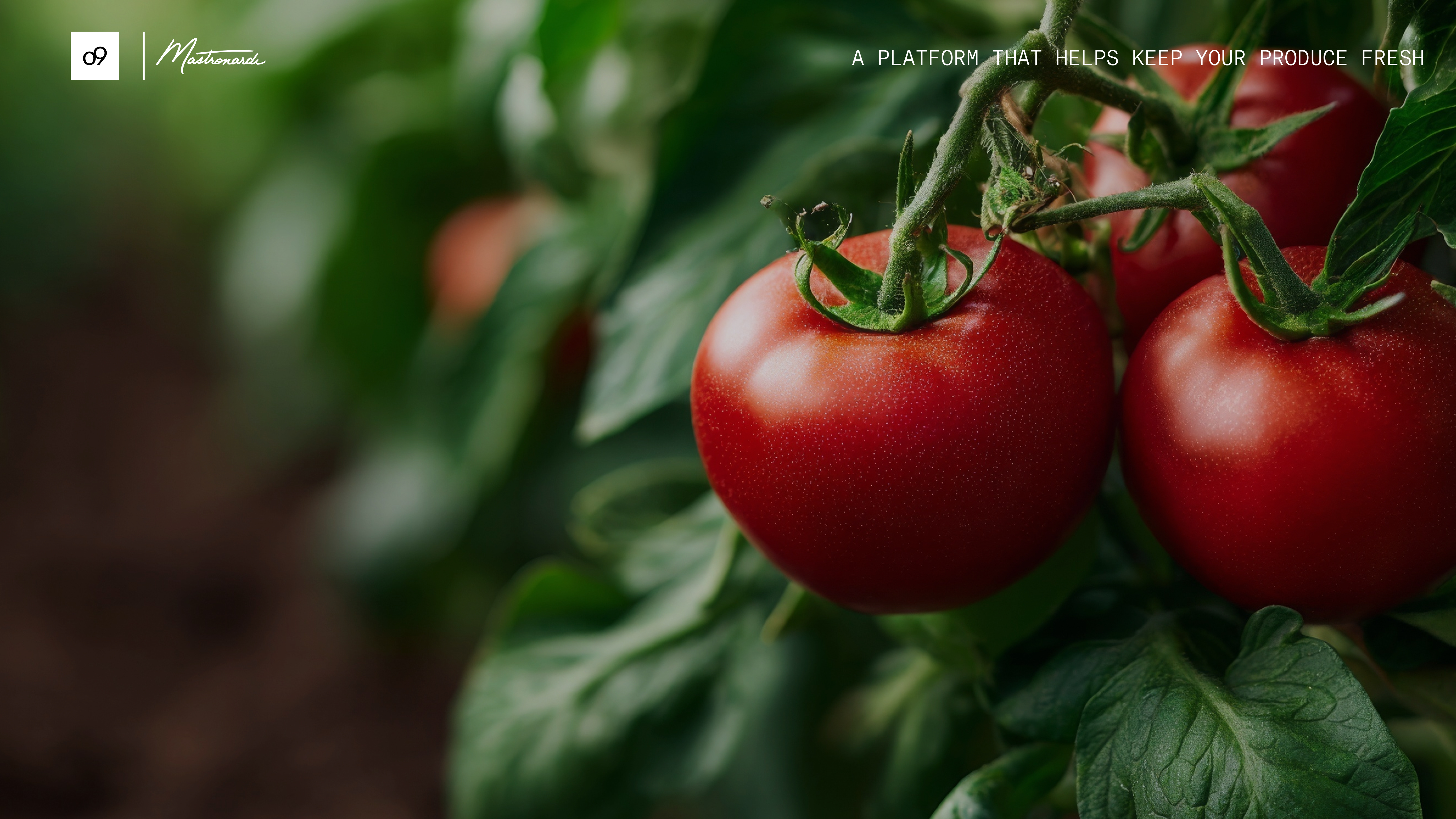 o9 |  Mastronardi [A Platform That Helps Keep Your Produce Fresh]