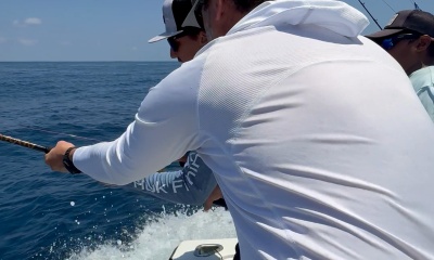 400lb Blue Marlin