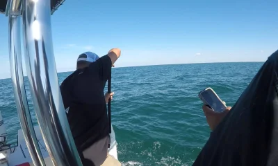 Bay Pines Report Video 0