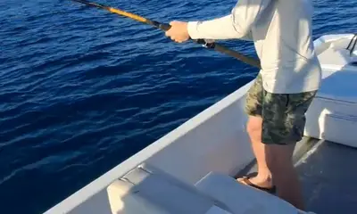 San Jose del Cabo Видео отчет 0