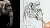 Lesson image