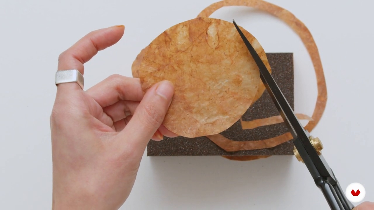 Transformation of SCOBY into threads