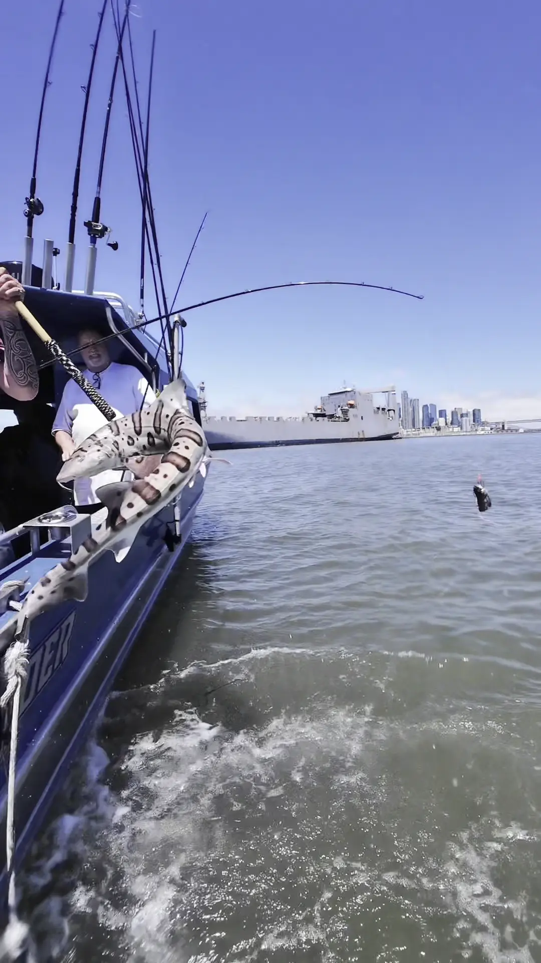 Business Card: NorCal Traditions Sportfishing