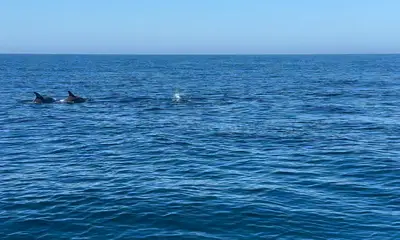Bradenton Beach Report Video 2