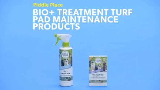 Play Video: Learn More About Piddle Place From Our Team of Experts