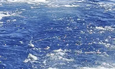 Great Fishing Charter