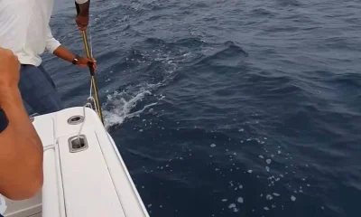 Panama City Report Video 0