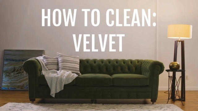 Practical Care Velvets Joybird