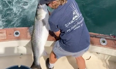 Great Montauk Fishing now