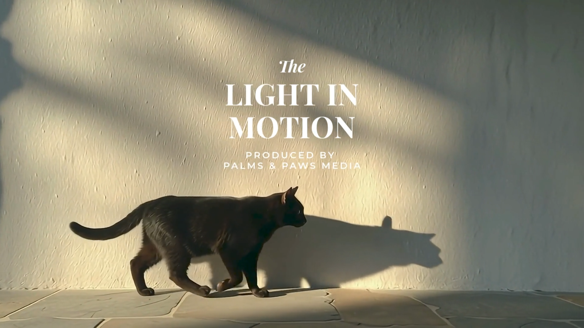 The Light in Motion