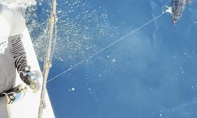 Cabo San Lucas Report Video 1