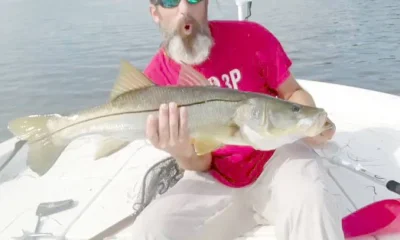 Tampa Bericht Video 1