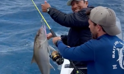Playa Del Carmen Report Video 0