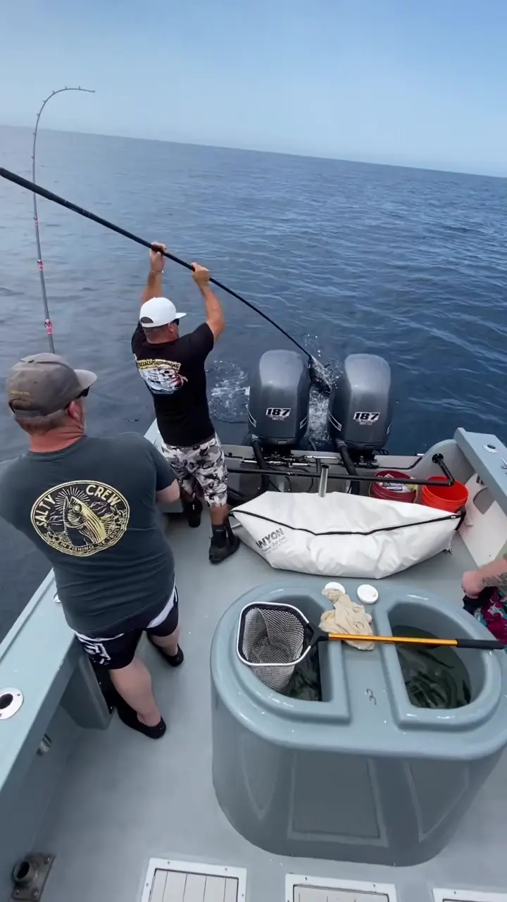 Business Card: ROGEZAC II Sportfishing