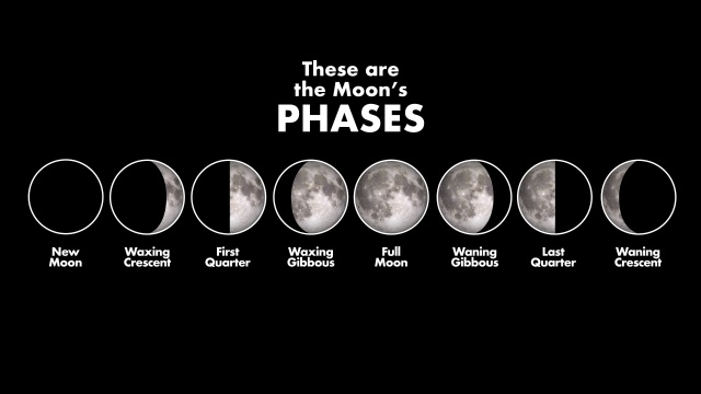 What are the Moon's phases?