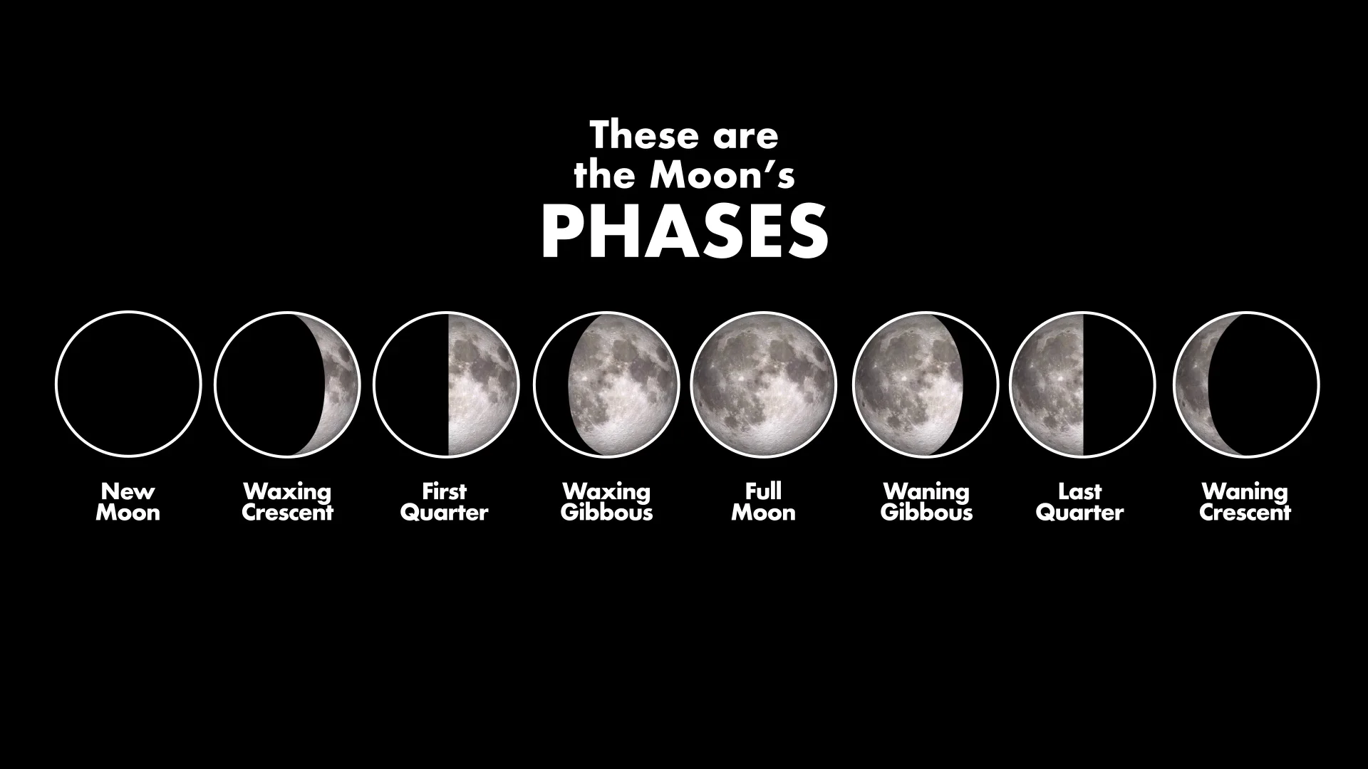 Are There Really 12 Phases Of The Moon? Exploring Lunar Mysteries