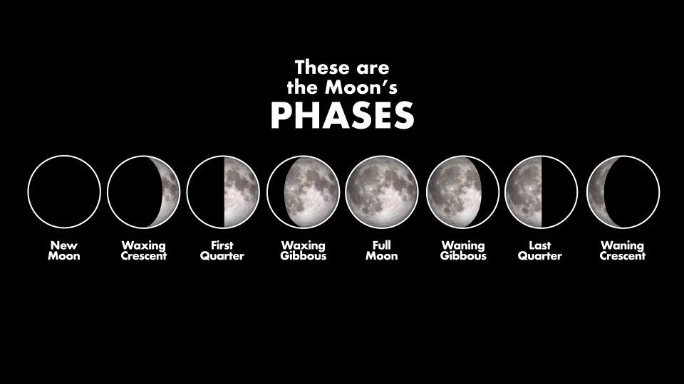 When Is The Next Full Moon? Full Moon Calendar 2023