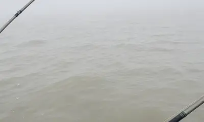 Berkeley Report Video 1