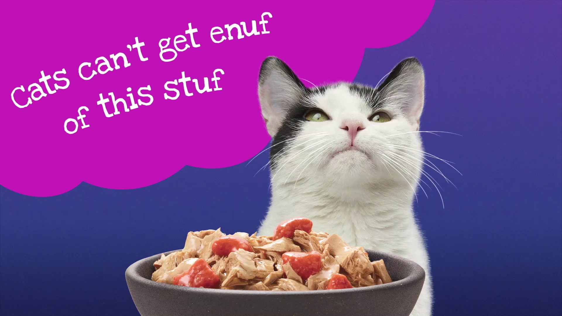 FRISKIES Stuf d Sauc d Chicken Tuna Turkey Salmon Shrimp