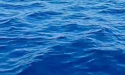 San Jose del Cabo Report Video 0