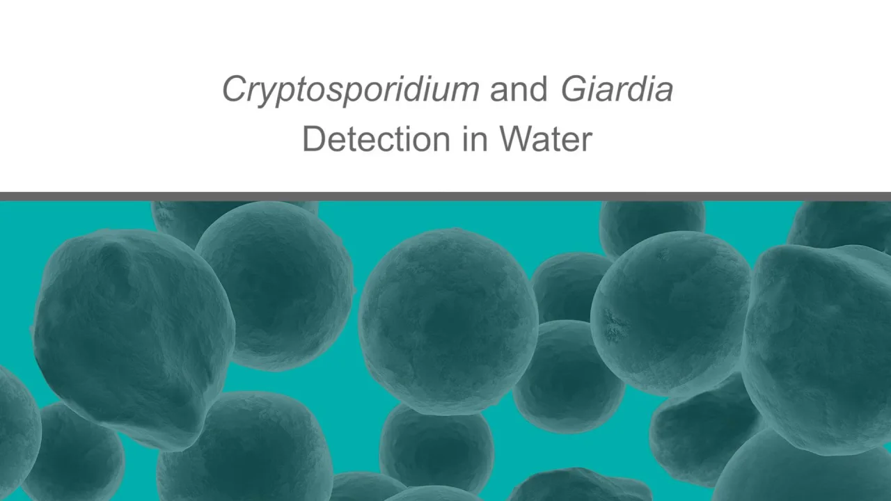 FiltaMax 1. SAMPLE COLLECTION v4 MASTER-HD