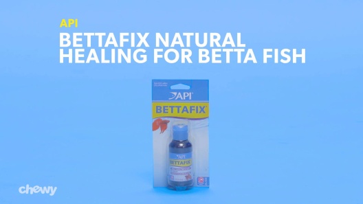 API Bettafix Antibacterial & Antifungal Betta Fish Infection